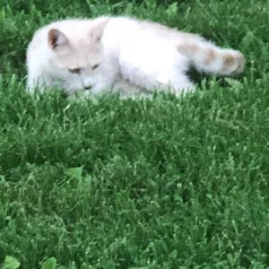 Meet your Posher, Yolanda